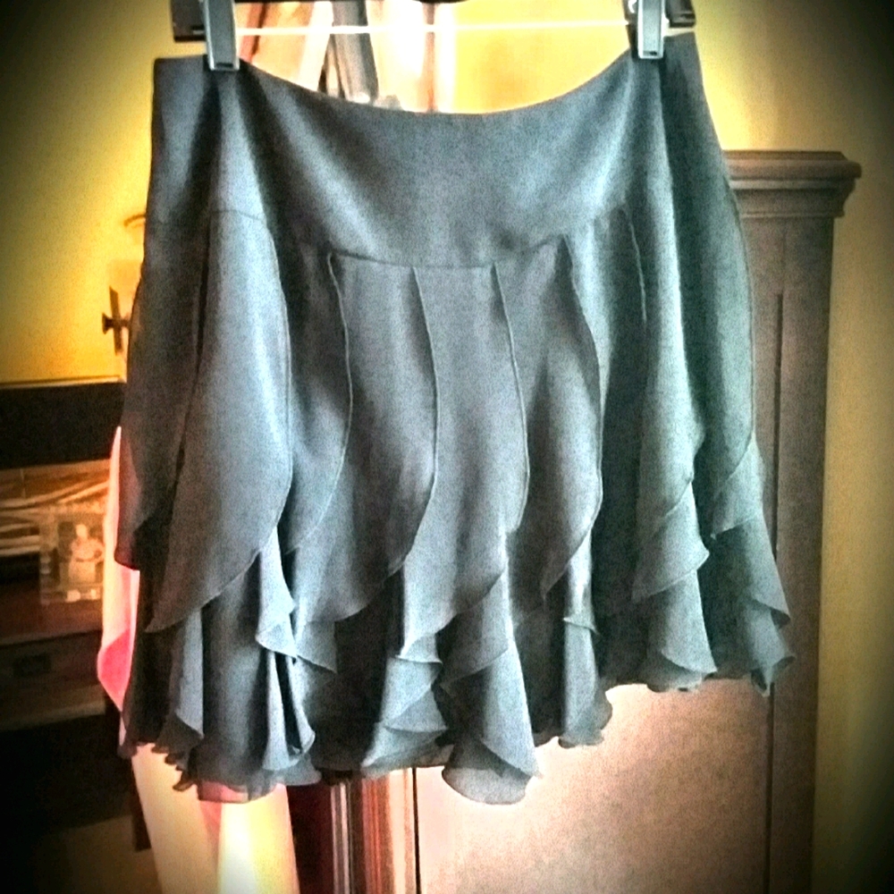 NWT H&M Pleated Skirt. Size 10.